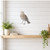 Nightingale Steel Cutout Shape, Raw Metal Wall Art and Craft Supply