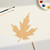 Maple Leaf 1 Wood Cutout for Crafts, Unfinished Baltic Birch Craft Shape