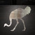 Ostrich Steel Cutout Shape, Raw Metal Wall Art and Craft Supply