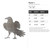 Raven 1 Steel Cutout Shape, Raw Metal Wall Art and Craft Supply