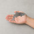 Salmon Steel Cutout Shape, Raw Metal Wall Art and Craft Supply