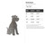 Schnauzer Steel Cutout Shape, Raw Metal Wall Art and Craft Supply