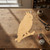 Owl 5 Wood Cutout for Crafts, Unfinished Baltic Birch Craft Shape