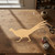 Pheasant Wood Cutout for Crafts, Unfinished Baltic Birch Craft Shape