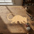 Possum Wood Cutout for Crafts, Unfinished Baltic Birch Craft Shape