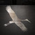 Stork Steel Cutout Shape, Raw Metal Wall Art and Craft Supply