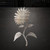 Sunflower Side Steel Cutout Shape, Raw Metal Wall Art and Craft Supply