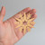 Snowflake Star Wood Cutout for Crafts, Unfinished Baltic Birch Craft Shape