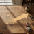 Squid Wood Cutout for Crafts, Unfinished Baltic Birch Craft Shape