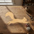 Squirrel 1 Wood Cutout for Crafts, Unfinished Baltic Birch Craft Shape
