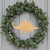 Stegosaurus 1 Wood Cutout for Crafts, Unfinished Baltic Birch Craft Shape