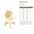 Sunflower Side Wood Cutout for Crafts, Unfinished Baltic Birch Craft Shape