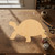 Tortoise Wood Cutout for Crafts, Unfinished Baltic Birch Craft Shape