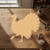 Turkey 2 Wood Cutout for Crafts, Unfinished Baltic Birch Craft Shape