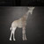 Giraffe 2 Steel Cutout Shape, Raw Metal Wall Art and Craft Supply