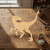 Velociraptor Wood Cutout for Crafts, Unfinished Baltic Birch Craft Shape
