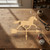 Weather Vane 1 Wood Cutout for Crafts, Unfinished Baltic Birch Craft Shape