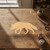 Wolf Wood Cutout for Crafts, Unfinished Baltic Birch Craft Shape