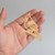 Cardinal 2 Wood Cutout for Crafts, Unfinished Baltic Birch Craft Shape