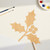 Holly Leaf Wood Cutout for Crafts, Unfinished Baltic Birch Craft Shape