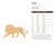 Lion 2 Wood Cutout for Crafts, Unfinished Baltic Birch Craft Shape