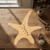 Starfish 1 Wood Cutout for Crafts, Unfinished Baltic Birch Craft Shape