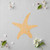 Starfish 1 Wood Cutout for Crafts, Unfinished Baltic Birch Craft Shape