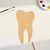 Tooth 1 Wood Cutout for Crafts, Unfinished Baltic Birch Craft Shape