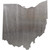 Ohio Steel Cut Out Metal Art Decoration