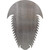 Trilobite Steel Cut Out Metal Art Decoration