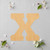 Lower Case X Wood Cutout for Crafts, Unfinished Baltic Birch Craft Shape