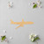Airplane Wood Cutout for Crafts, Unfinished Baltic Birch Craft Shape