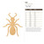 Ant Wood Cutout for Crafts, Unfinished Baltic Birch Craft Shape
