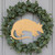 Armadillo Wood Cutout - Unfinished Baltic Birch Craft Shape