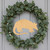 Armadillo Wood Cutout for Crafts, Unfinished Baltic Birch Craft Shape