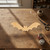 Bat 2 Wood Cutout - Unfinished Baltic Birch Craft Shape