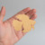 Betta Fish Wood Cutout for Crafts, Unfinished Baltic Birch Craft Shape