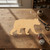 Black Bear Wood Cutout - Unfinished Baltic Birch Craft Shape