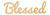 Blessed Wood Cutout Craft Blank, Unfinished Baltic Birch DIY Shape for Crafts and Decor
