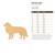 Bordercollie Wood Cutout - Unfinished Baltic Birch Craft Shape