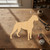 Boxer 1 Wood Cutout - Unfinished Baltic Birch Craft Shape
