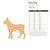 Boxer Dog Wood Cutout - Unfinished Baltic Birch Craft Shape