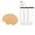 Brain Wood Cutout for Crafts, Unfinished Baltic Birch Craft Shape