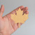 Canadian Maple Leaf Wood Cutout for Crafts, Unfinished Baltic Birch Craft Shape