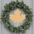 Canadian Maple Leaf Wood Cutout for Crafts, Unfinished Baltic Birch Craft Shape