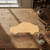 Car Wood Cutout - Unfinished Baltic Birch Craft Shape