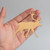 Caribou Wood Cutout - Unfinished Baltic Birch Craft Shape