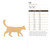 Cat Wood Cutout - Unfinished Baltic Birch Craft Shape