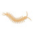 Centipede Wood Cutout - Unfinished Baltic Birch Craft Shape