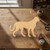 Cheetah Wood Cutout - Unfinished Baltic Birch Craft Shape